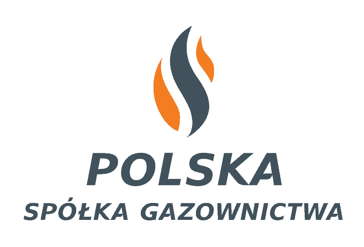logo pgnig